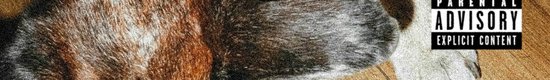 00-gal-du_caviar_pour_mon_chien-web-fr-2025