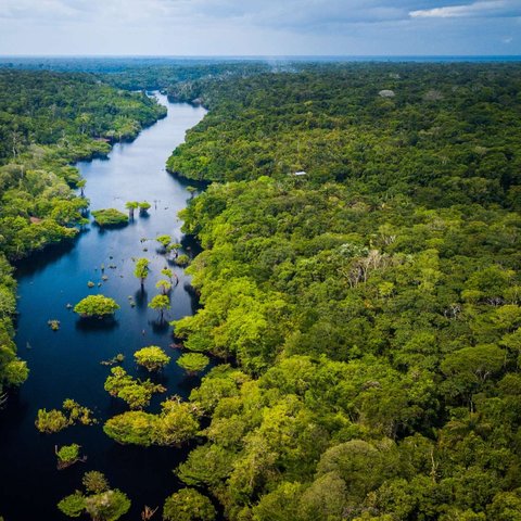 4f13bc2d13_50170991_planete-foret-amazonie-deforestation-surface-espagne