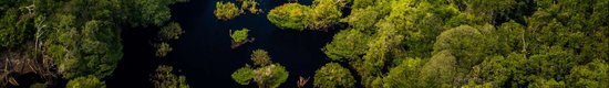 4f13bc2d13_50170991_planete-foret-amazonie-deforestation-surface-espagne