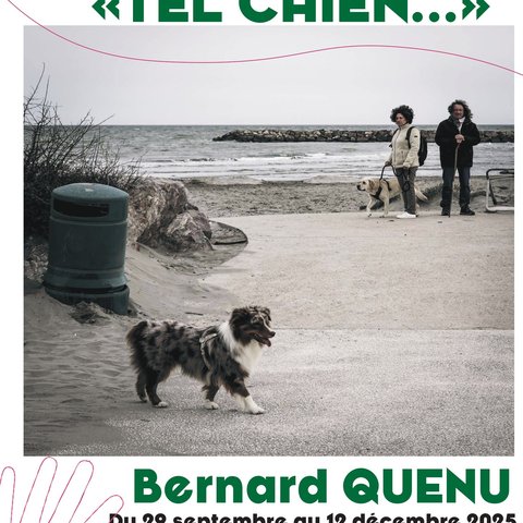 Affiches
