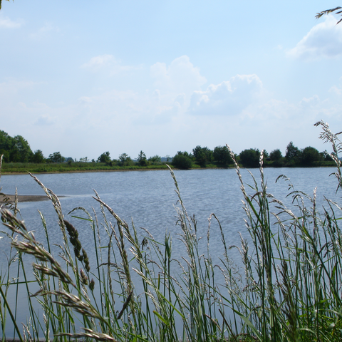 Bassin_de_décantation_à_la_Belle_Épine