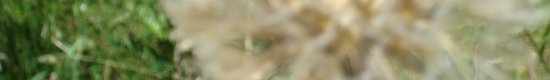 DSC00852