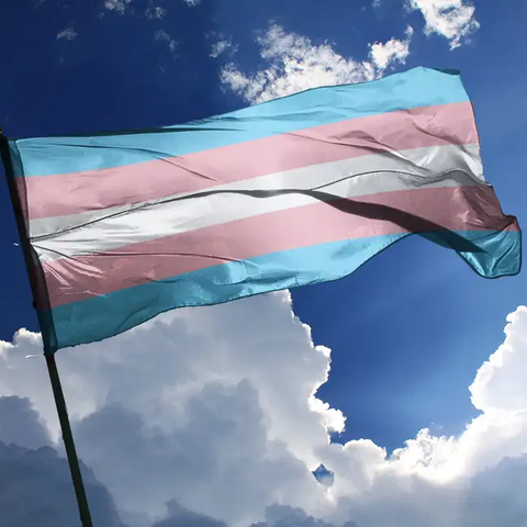 Ep04 Drapeau-trans-transgenre