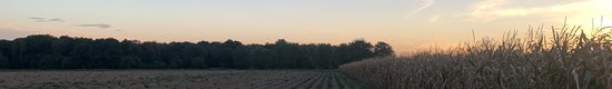 IMG_0737