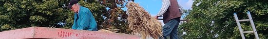 IMG_20221213_184638