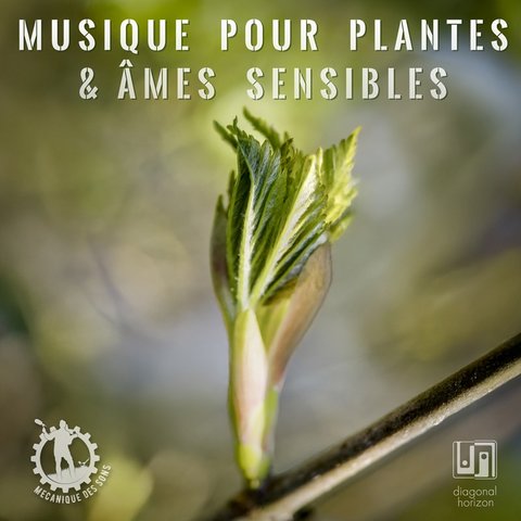 mecanique des sons - musique