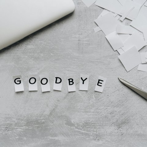 pexels-alleksana-4271925(1)