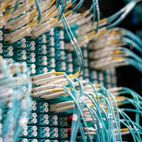 pexels-brett-sayles-4682189