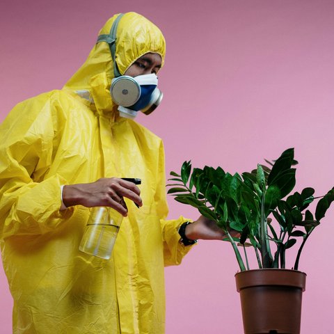 pexels-cottonbro-3951388