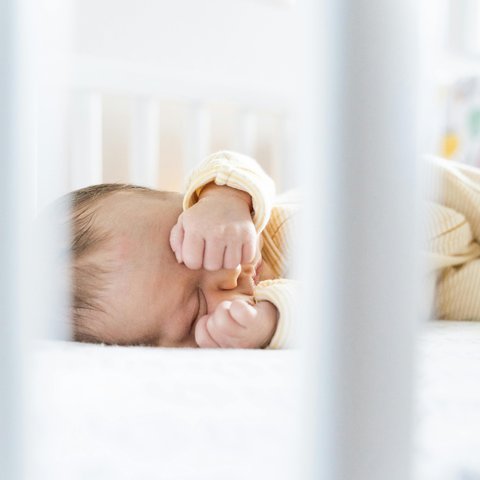 pexels-enrique-9656796