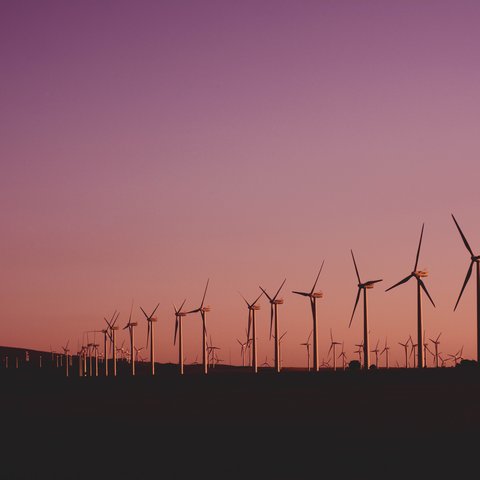 pexels-éolienne-narcisa-aciko-1292464