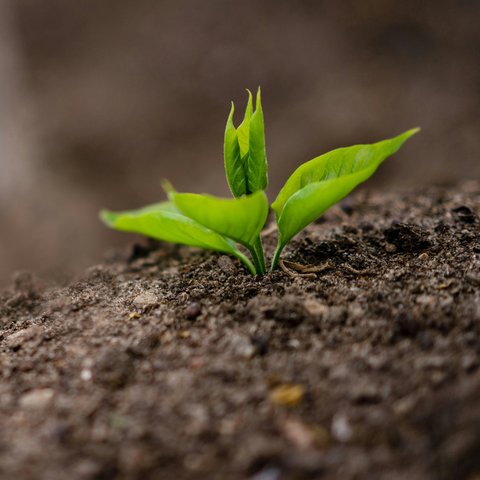 pexels-freestockpro-7768447