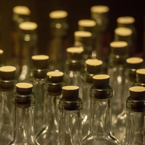 pexels-jan-van-der-wolf-11680885-19342033