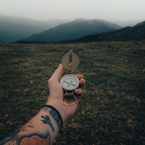 pexels-justguryan-10533358