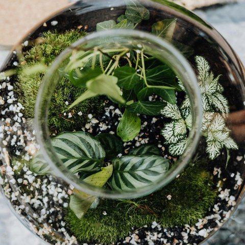 pexels-karola-g-4751981