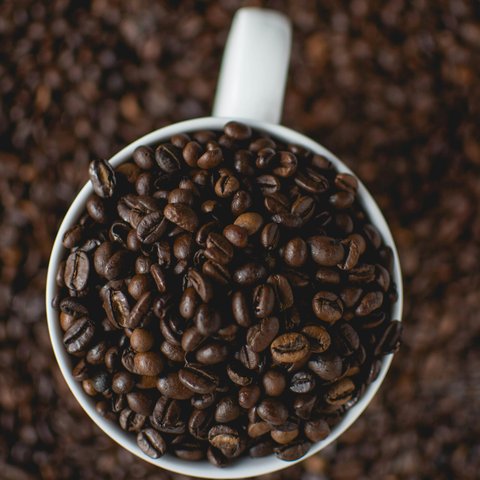 pexels-lilartsy-1132570