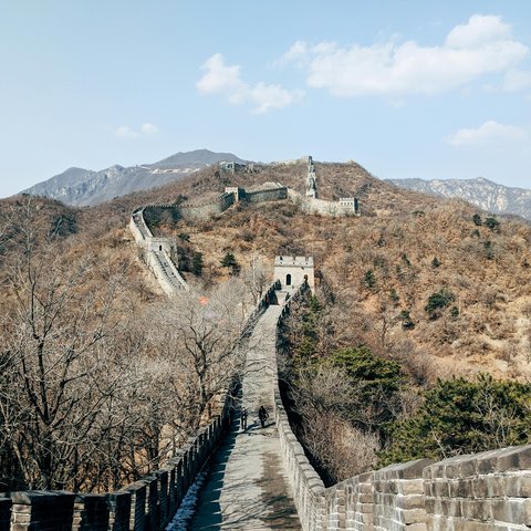 pexels-markus-winkler-1430818-2981806