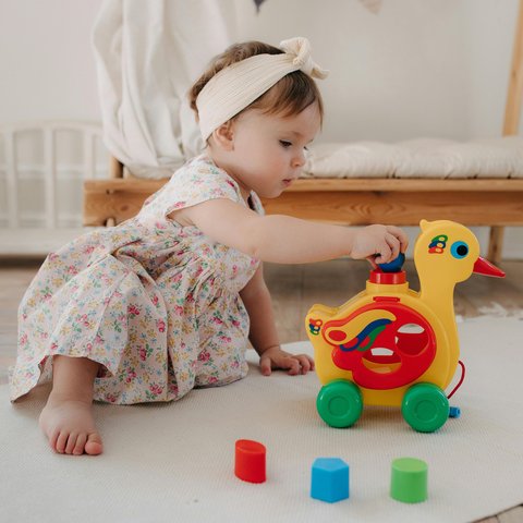 pexels-polesietoys-31137007