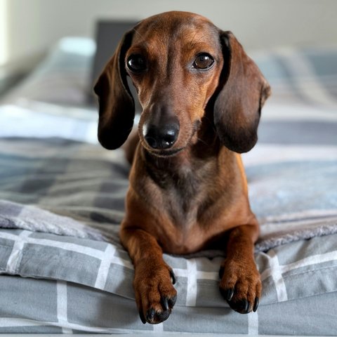 pexels-roksolana-ganitkevych-993680669-20229531